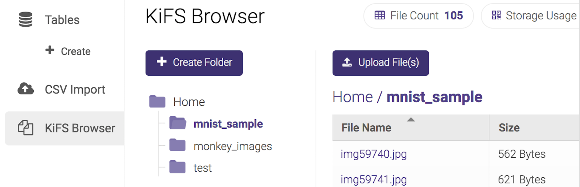 KiFS Browser